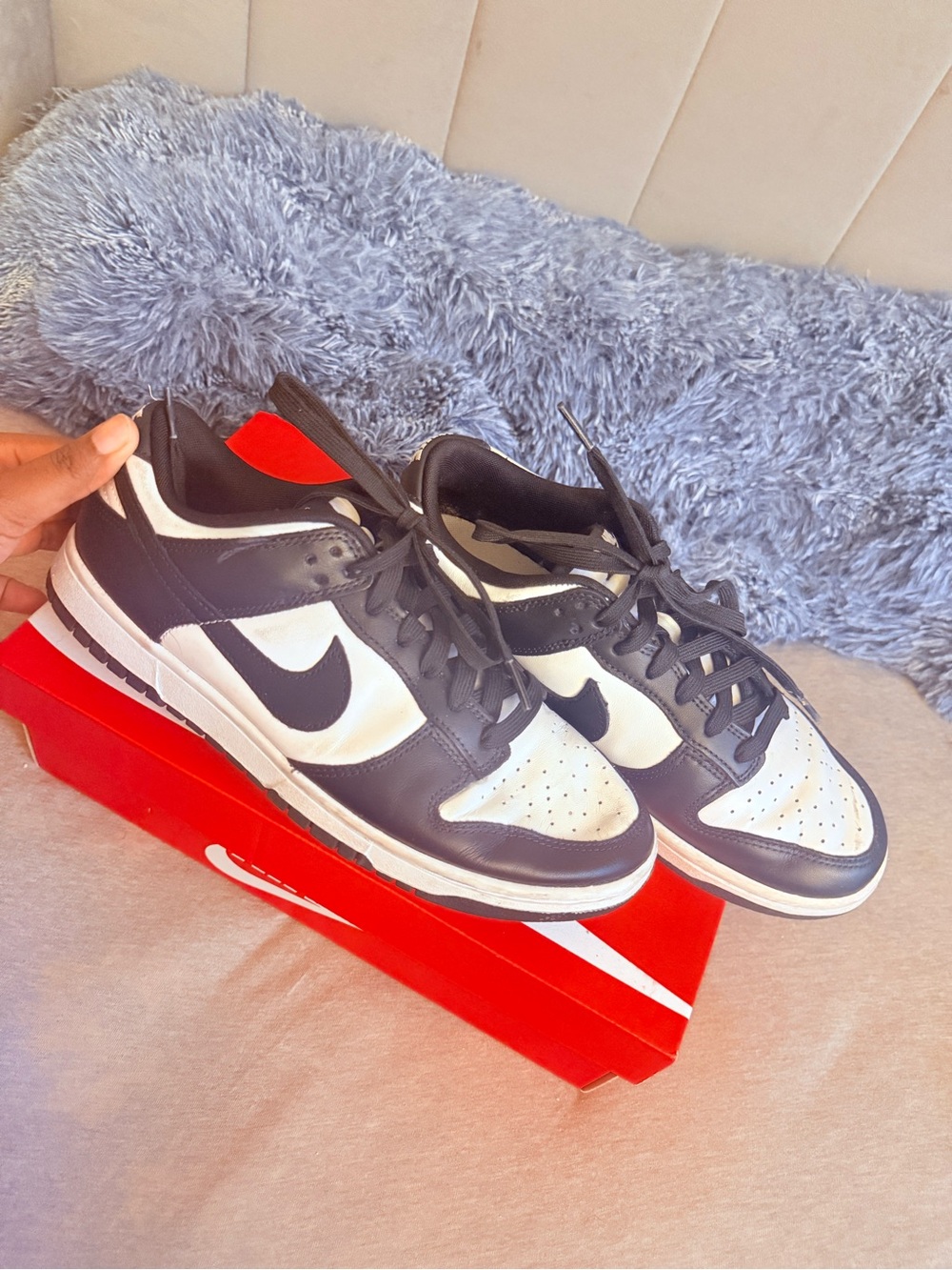Nike Dunks